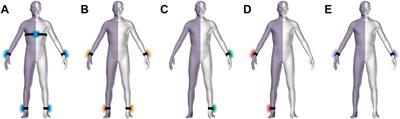 Accuracy of gait and posture classification using movement sensors in individuals with mobility impairment after stroke